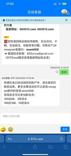 截屏2024-08-06 17.32.29